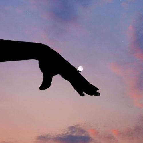 دانلود آهنگ اوضاعم به کام نی بیرانونده زیر تیغم نمیشم مثل تابنده