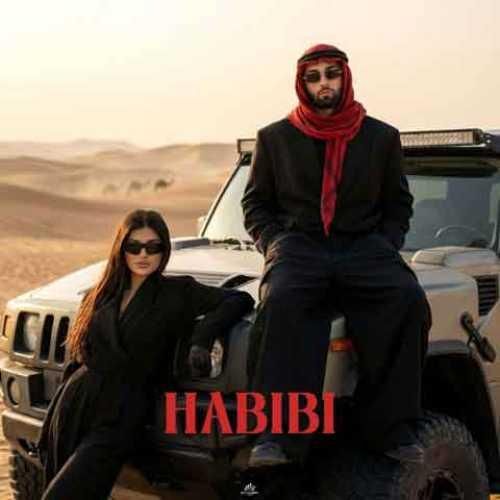 آرتا حبیبی