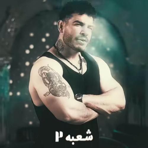 دانلود آهنگ شعبه دو از فرهاد فرهادی