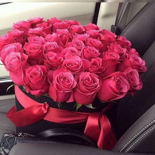 دانلود آهنگ توی گرمای شهر دو سال باریده برف خز نبود هنوز